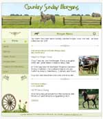 Country Sunday Morgans - Web Development