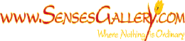 Visit the SensesGallery